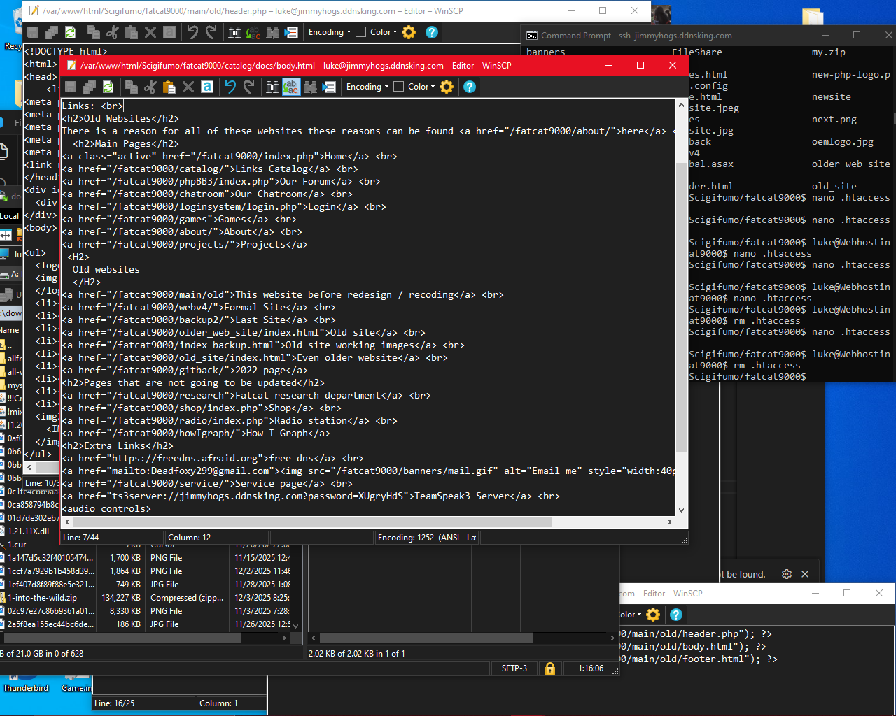 Me editing the code after it has been uploaded to the web server